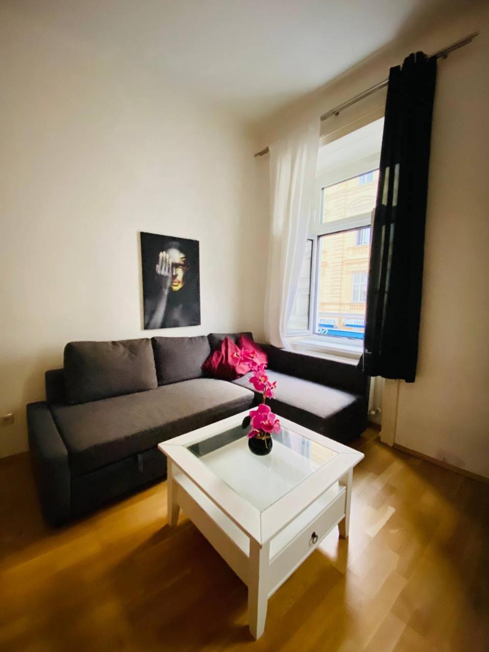 וינה Family Apartment Th8 8 מראה חיצוני תמונה