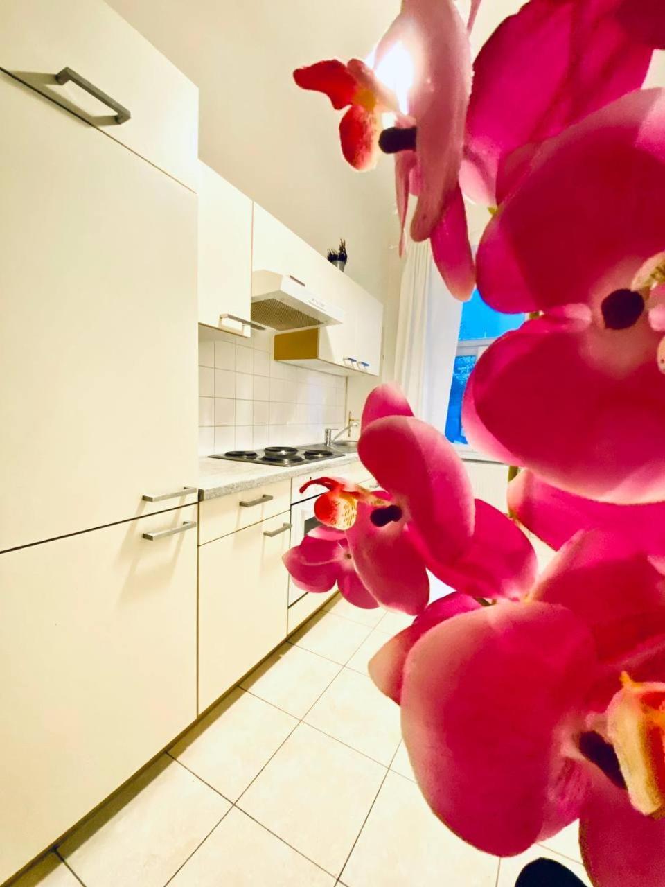 וינה Family Apartment Th8 8 מראה חיצוני תמונה